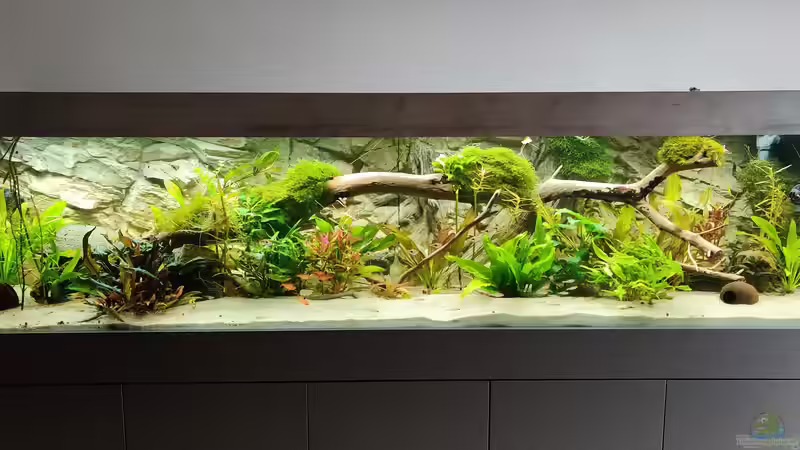 Userbild von Woidma von Woidma (108)