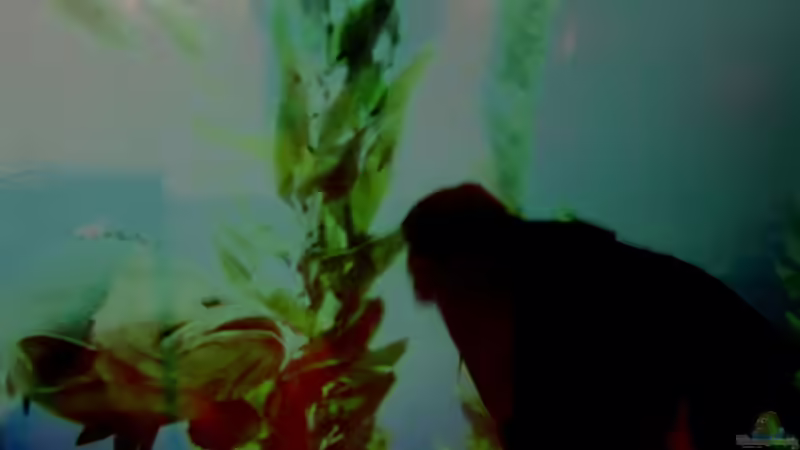 Userbild von wsc von wsc