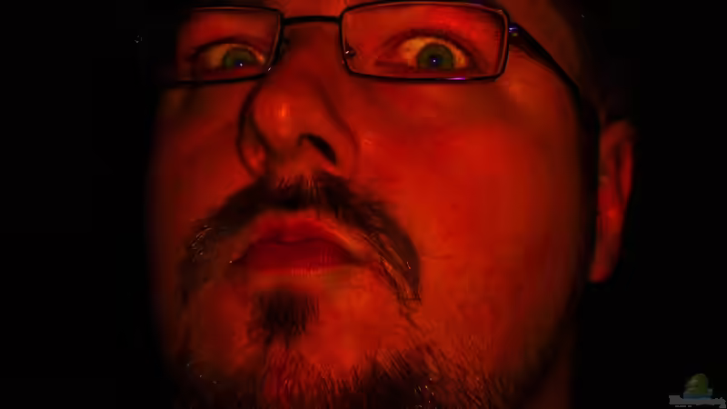 Userbild von wysel von wysel (4)