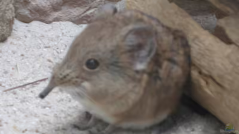 Userbild von xmarkusx von xmarkusx (16)