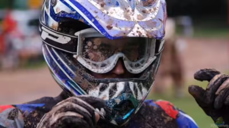 Userbild von yankeedoodel von yankeedoodel (6)