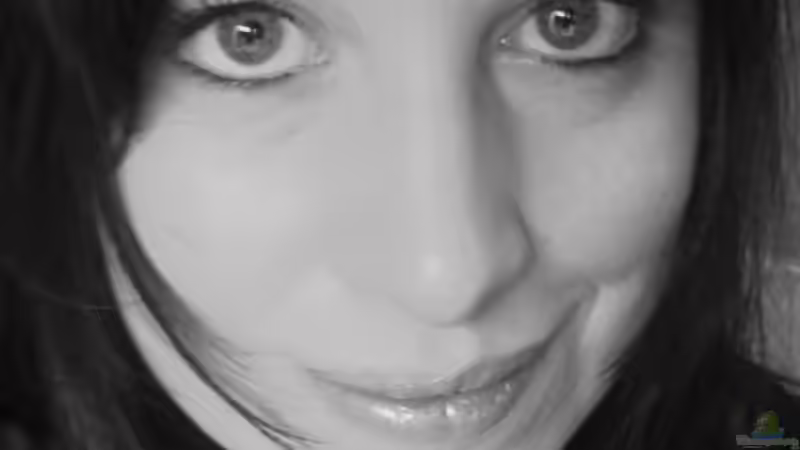 Userbild von Yvonne Storms von Yvonne Storms (25)