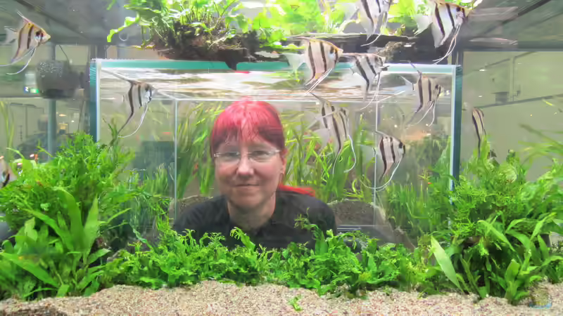 Userbild von Zahnkarpfen- Fee von Zahnkarpfen- Fee (16)