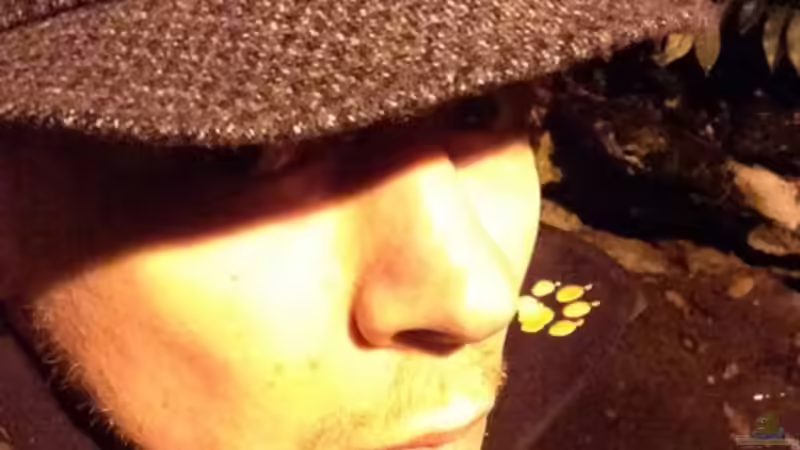 Userbild von Zatoichi von Zatoichi (3)