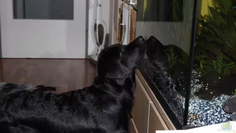 Userbild von ZoreS von ZoreS (7)