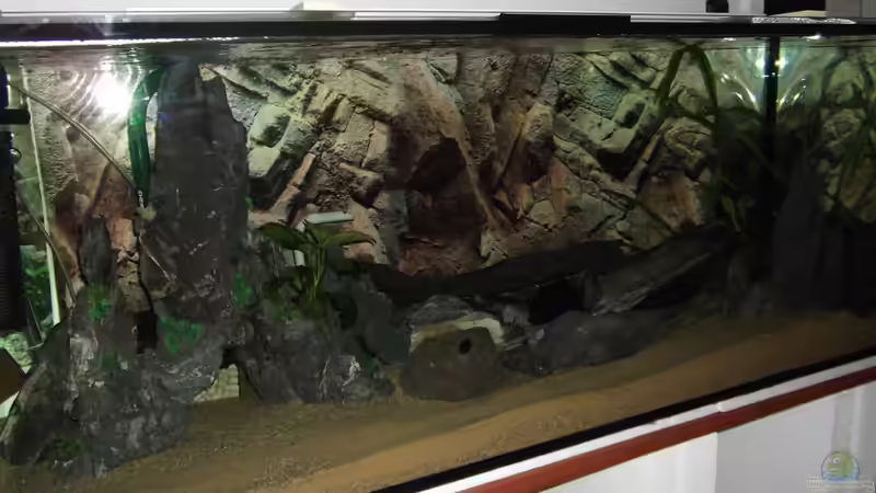 Utaka Malawi Becken von Esslinger (2)