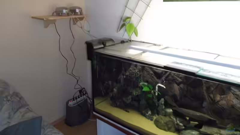 Utaka Malawi Becken von Esslinger (4)