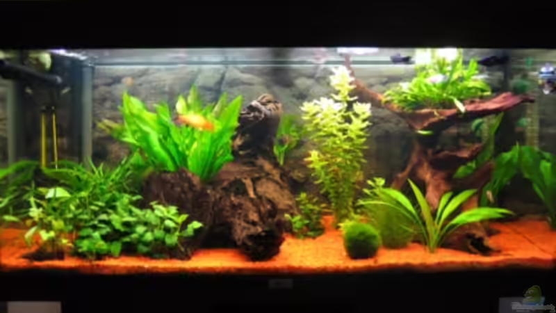 uunser schönes aq von Daniel Werner