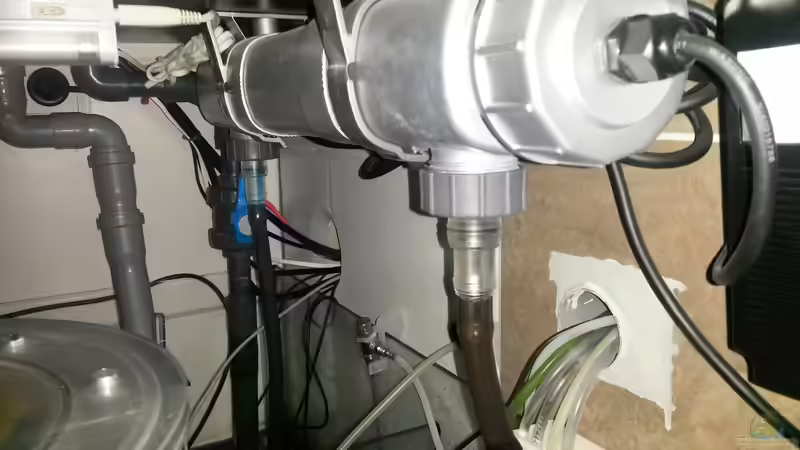 UV-C Entkeimer 36Watt von Truthahnmann (14)