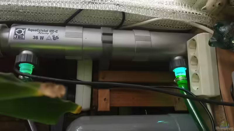 UV Clärer von Thomas Bachl (9)