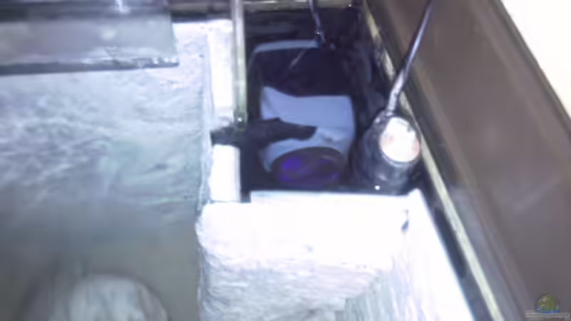 UV Filter + Regelheizer von Francesco (12)