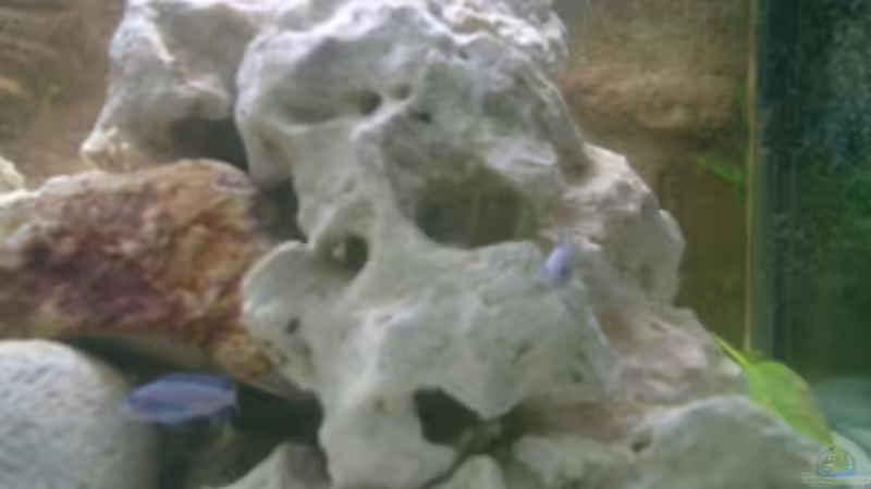 UV-Klärer von Christian Köster (6)