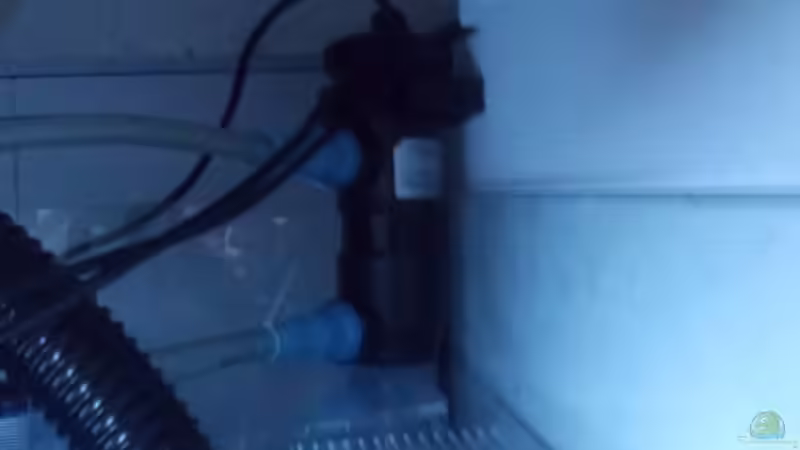 UV-klärer von Pierre (12)