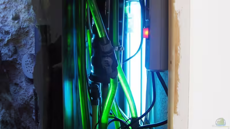 UV-Lampe, Ext. Pumpe, Abfluss, Zufluss,... von Klaus Traxler (8)