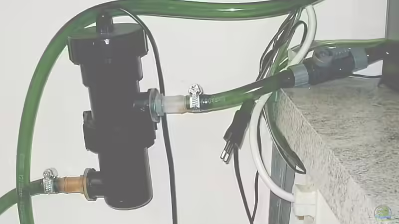 UVC von Jana Gelfort (5)