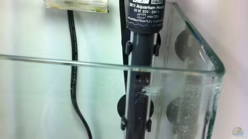 Uwe mit Lampe und Heizstab von Sebastian Philipp (11)