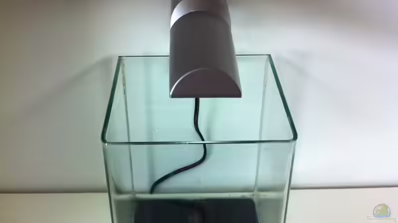 Uwe mit Lampe von Sebastian Philipp (10)