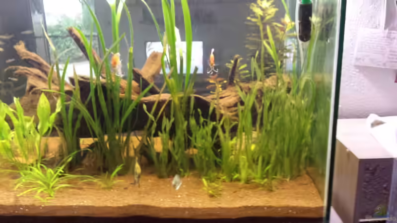 vali von Tobias Zelzer (28)