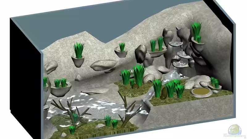 Vampirkrabben Terrarium Gesamtansicht von Drako (1)