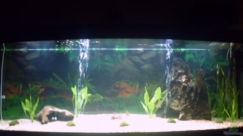 Vast vertig von Sascha.L (1)