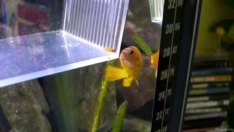 Vater und kind von maggo 28 (44)