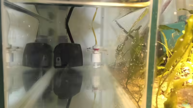 VE-Tank von Cyano-Kanone (8)