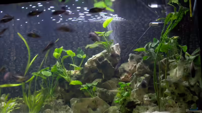 veralgtes Lochgestein von Sven Ufer (6)