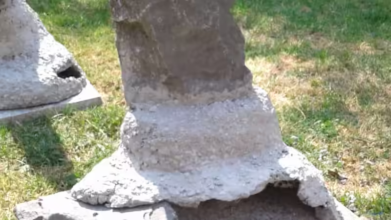 Vergeblicher Versuch... von Tristan (5)