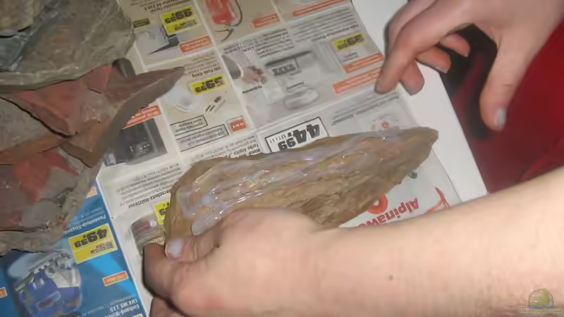 verklebt mit Aquariumsilikon von chrisi01 (12)