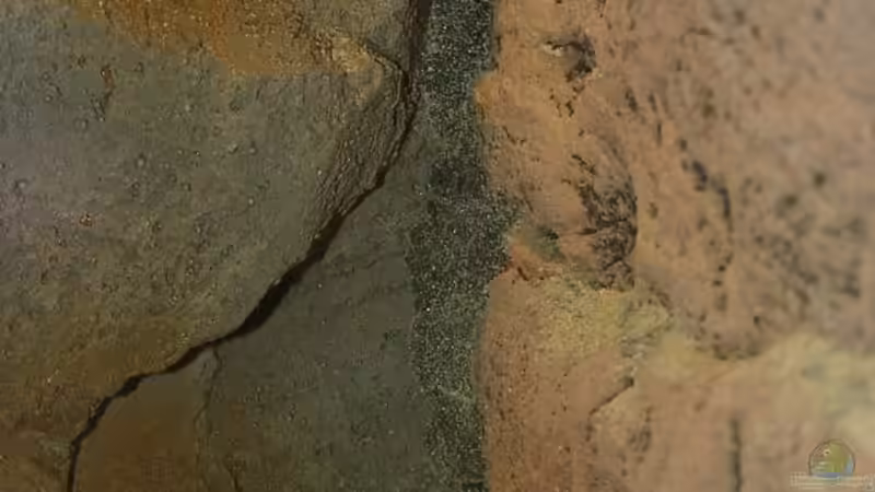 Verklebung zwischen Rückwand und Seitenwand: schwarzes Silikon, mit Sand bestreut von Georg Botz (15)