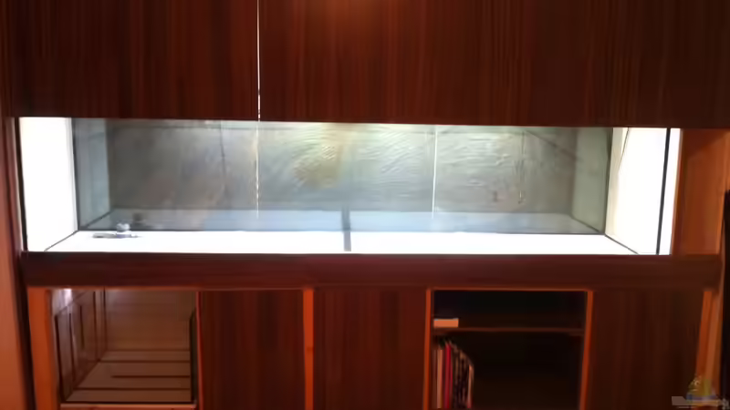 verkleided von maxarl (8)