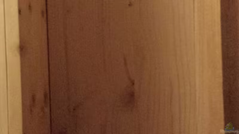 verkleidung Bio CO2 von Lucky3310 (36)