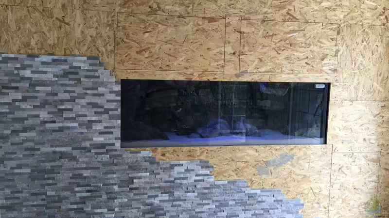 Verkleidung von Christian V (12)