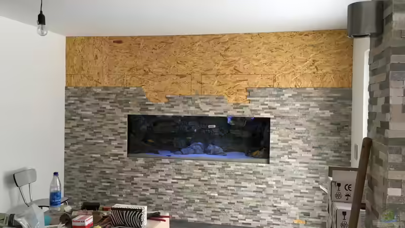 Verkleidung von Christian V (17)