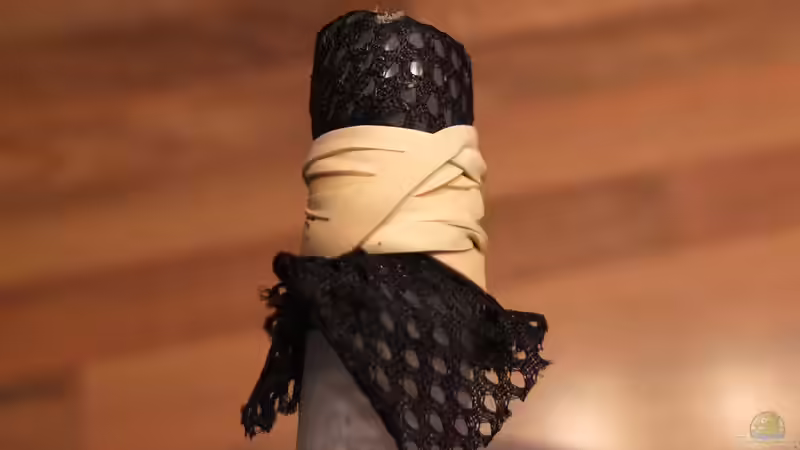 vermeidet Ansaugen von Fischen von axolotl (34)