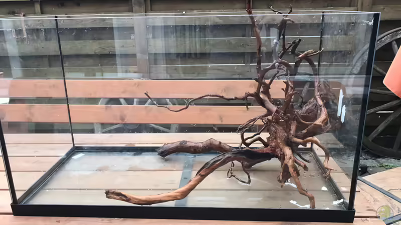 Vermutlich das Hardscape  von Raven887 (15)