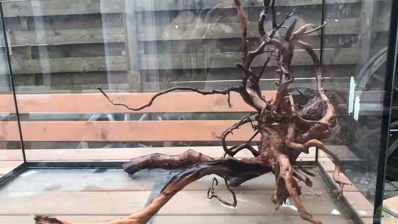 Vermutlich das Hardscape  von Raven887 (16)