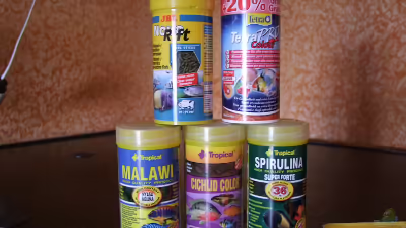 Verpflegung von wadde (43)