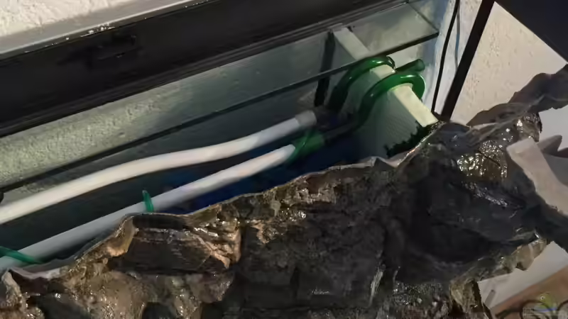 Verrohrung von der Schlamm- in die Biofilter-Kammer von Steffi66 (32)