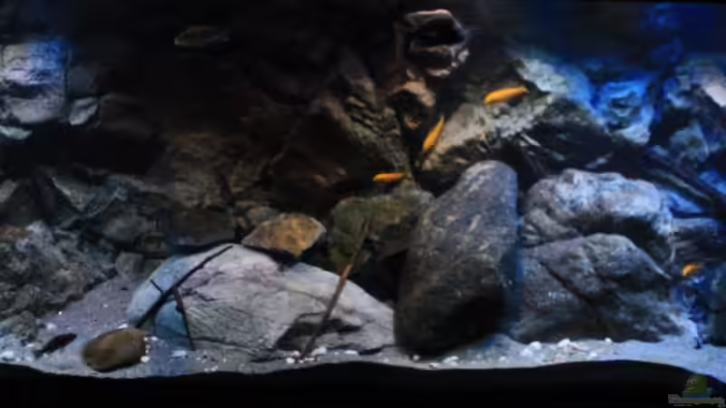 Verschiedene Licht Szenen von Florian Bandhauer (13)