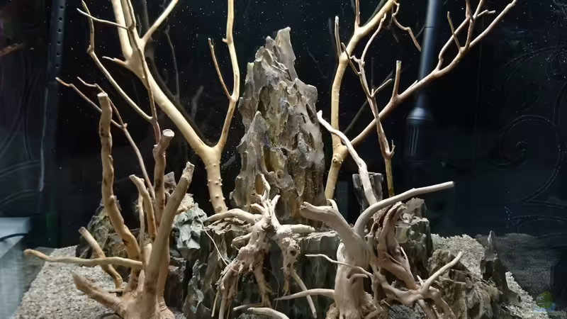 Verschiedenes Wurzelholz  von Inuki (22)