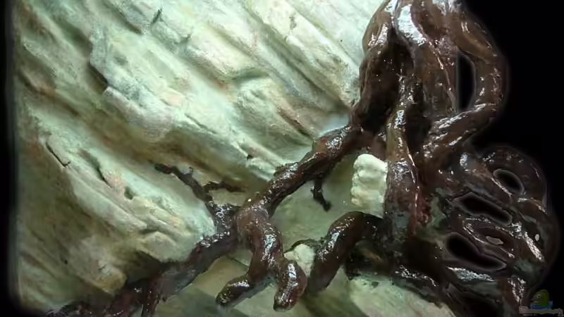 versiegelt... von Palo (20)