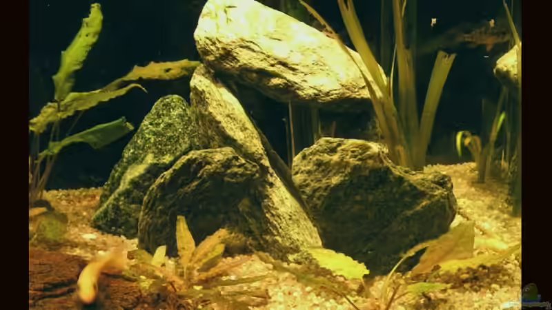 Versteck von Manuela Vogt (7)