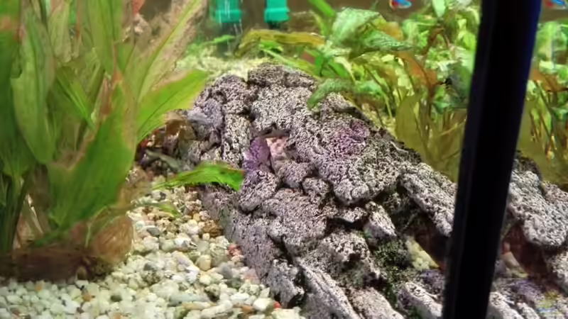 Versteck von Matze2903 (6)