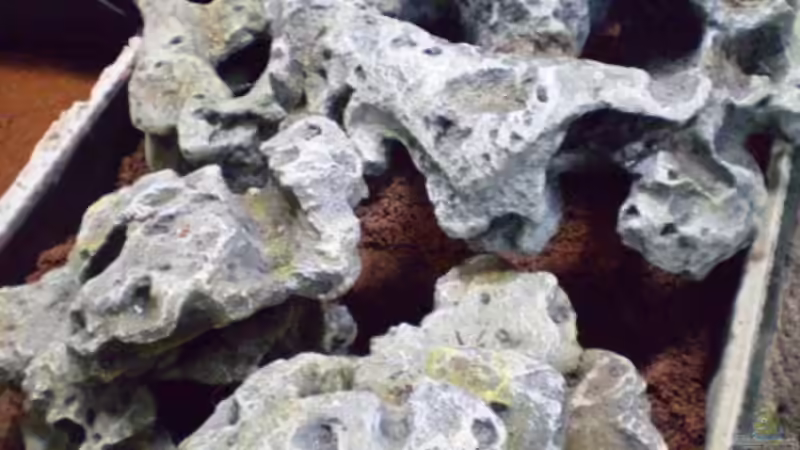 Verstecke der Schlammis von Kulleraugen-Fan (17)