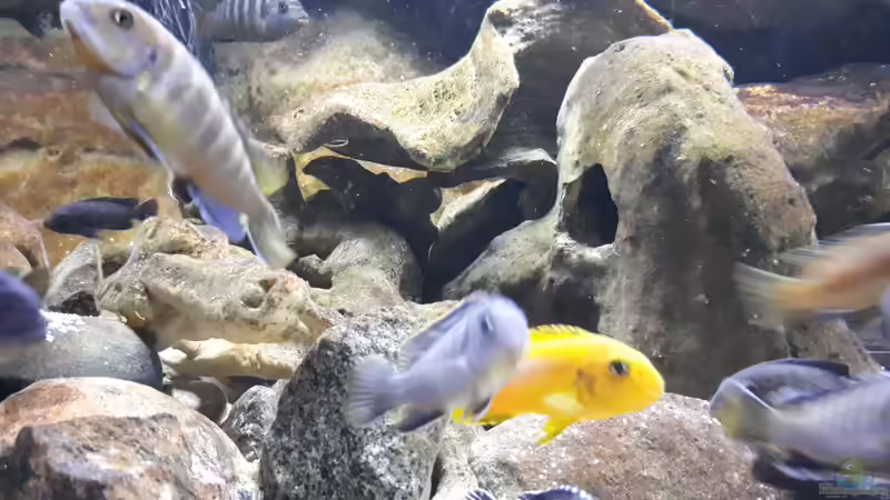 Verstecke für die Großen von Miketsch (4)