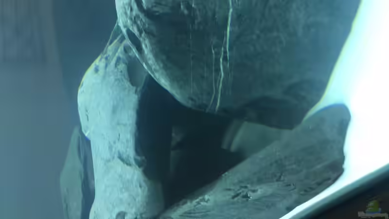 Verstecke von DannySea (7)