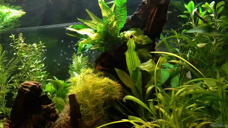 versteckt von Mario74 (25)