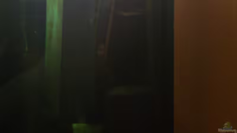 Versteckte Technik hinter dem HMF von Rainbowfan (20)