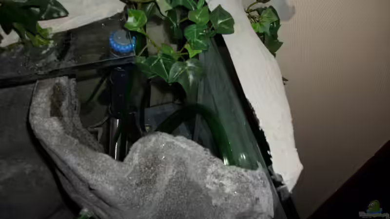 Versteckte technik hinter der selbstgebauten Rückwand von Andre Rohde (14)